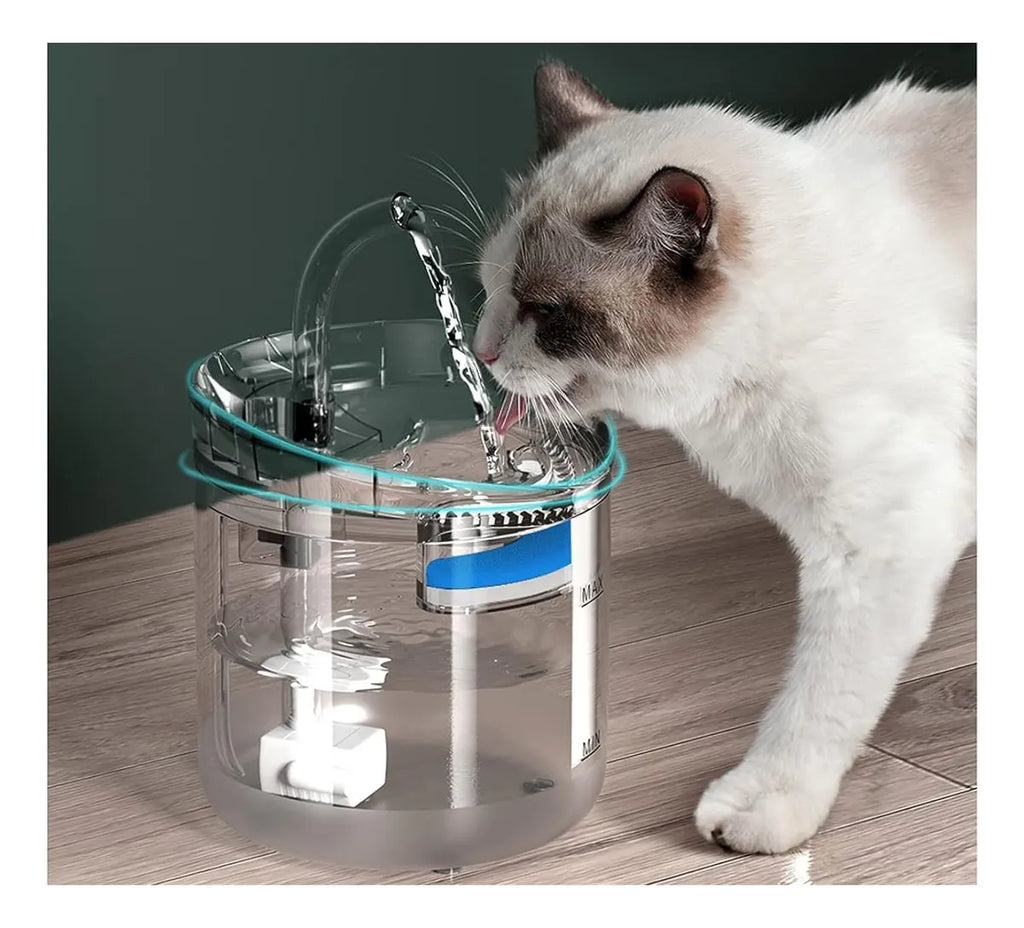 SmartFlow™ – Bebedero Inteligente para Gatos