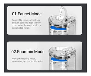 SmartFlow™ – Bebedero Inteligente para Gatos