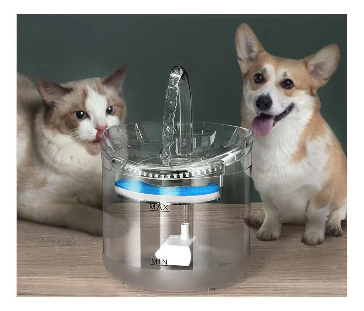 SmartFlow™ – Bebedero Inteligente para Gatos