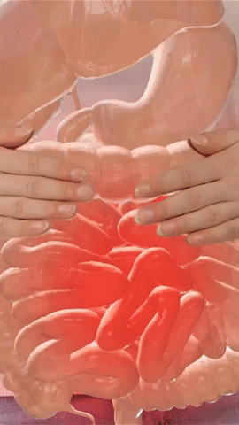 LITEPLEX – EL ORIGINAL™ | Bienestar Digestivo en Cada Gota.