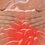 LITEPLEX – EL ORIGINAL™ | Bienestar Digestivo en Cada Gota.